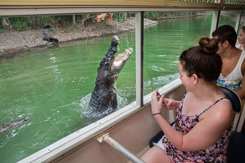 Hartley's Crocodile Adventures Day Trip From Cairns - Accommodation VIC 3