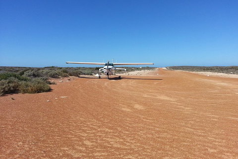 Abrolhos Islands Scenic Flight & Snorkel Adventure From Perth - Accommodation VIC 3