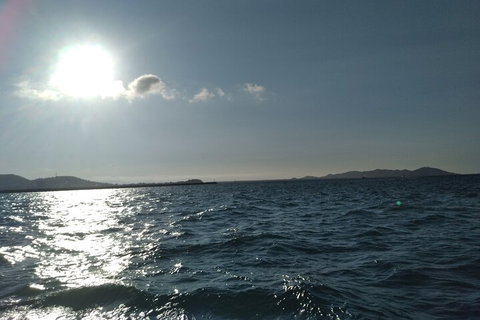 Townsville Small Group Early Morning Sailing Cruise Boat Tour Charter Hire - Accommodation VIC 4