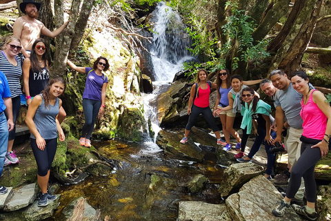 7-Day Super Value Tour Of Tasmania: Explore Tasmania's West And East Coasts - Accommodation VIC 2