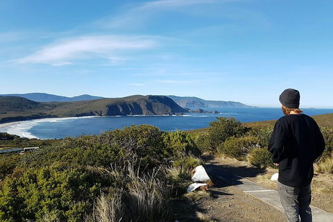 4-Day Fabulous Tasmania Tour: Wineglass Bay, Port Arthur, Devils & Bruny Island - Accommodation VIC 0