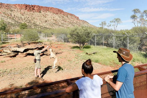 Alice Springs Desert Park General Entry Ticket - Accommodation VIC 4