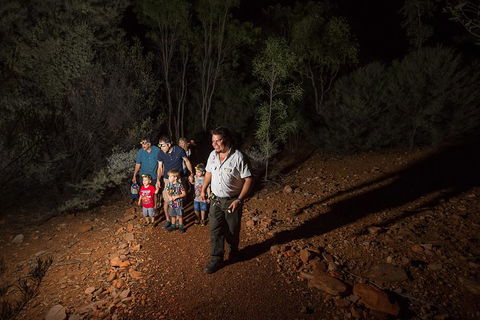 Alice Springs Desert Park Nocturnal Tour - Accommodation VIC 0