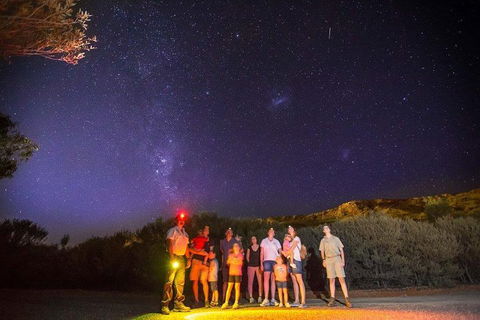 Alice Springs Desert Park Nocturnal Tour - Accommodation VIC 2