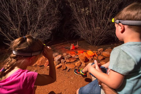 Alice Springs Desert Park Nocturnal Tour - Accommodation VIC 4