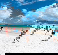 Whitehaven Beach and Hamilton Island Cruise - Accommodation VIC