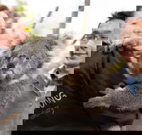 Bonorong Wildlife Park and Richmond Afternoon Tour from Hobart - Accommodation VIC