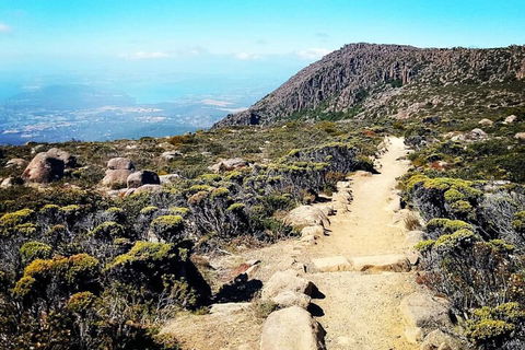 Mount Wellington Ultimate Experience Tour From Hobart - Accommodation VIC 5