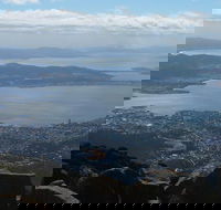 Mt Wellington Tour and MONA Admission - Accommodation VIC