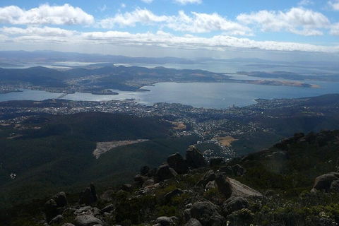 Mt Wellington Tour And MONA Admission - Accommodation VIC 2