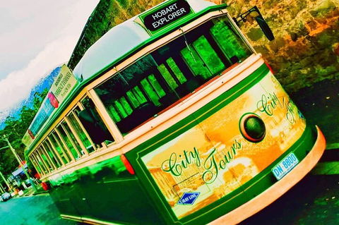 Hobart Half-Day Sightseeing Coach Tram Tour - Accommodation VIC 5