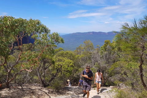 Blue Mountains Unique Small-Group Day Adventure With BBQ Lunch - Accommodation VIC 3