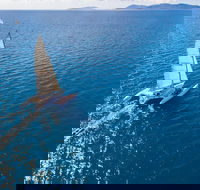 2-Night Whitsunday Islands Sailing Adventure on Trimaran Avatar - Accommodation VIC