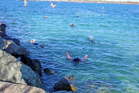 Wave Break Island Scuba Diving On The Gold Coast - Accommodation VIC 1