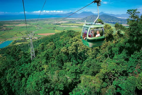 Cairns ATV Adventure Tour And Morning Skyrail - Accommodation VIC 2