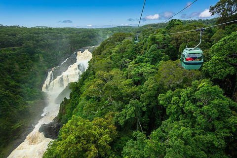 Cairns ATV Adventure Tour And Morning Skyrail - Accommodation VIC 3