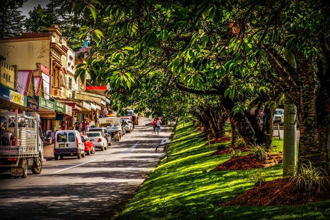 Fully Inclusive Blue Mountains Private Tour Inc Scenic World & Featherdale Entry - Accommodation VIC 0