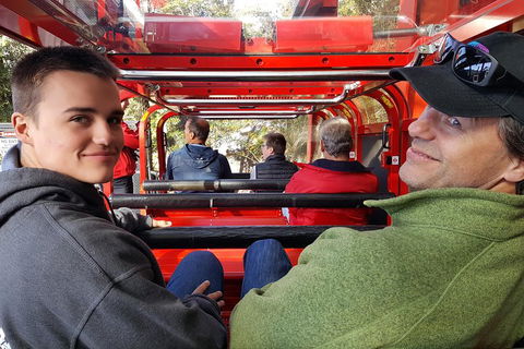Fully Inclusive Blue Mountains Private Tour Inc Scenic World & Featherdale Entry - Accommodation VIC 1