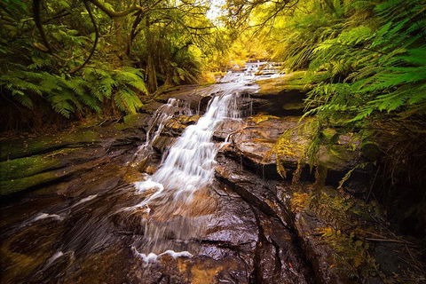 Fully Inclusive Blue Mountains Private Tour Inc Scenic World & Featherdale Entry - Accommodation VIC 3