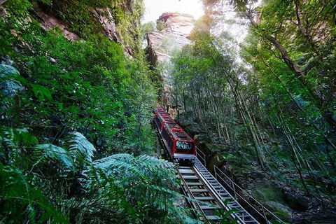 Fully Inclusive Blue Mountains Private Tour Inc Scenic World & Featherdale Entry - Accommodation VIC 4