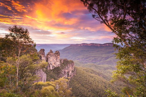 Fully Inclusive Blue Mountains Private Tour Inc Scenic World & Featherdale Entry - Accommodation VIC 5