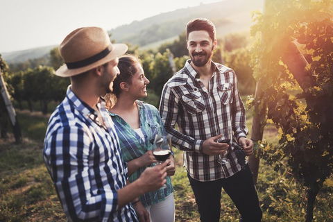 Full Day Mount Tamborine Winery Tour From Gold Coast - Accommodation VIC 5