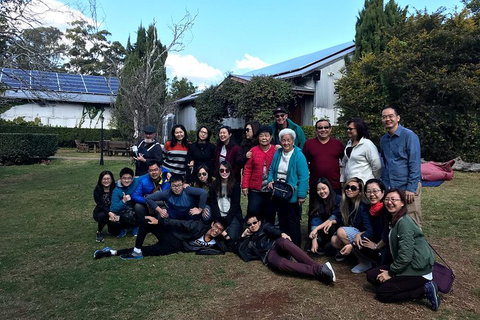 Full Day Mount Tamborine Winery Tour From Brisbane - Accommodation VIC 2