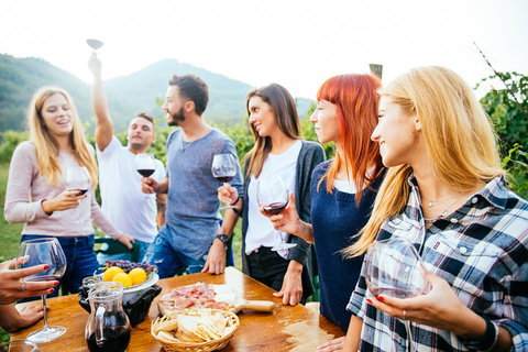 Full Day Mount Tamborine Winery Tour From Brisbane - Accommodation VIC 5