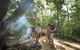Mossman Gorge Adventure Day - thumb 0