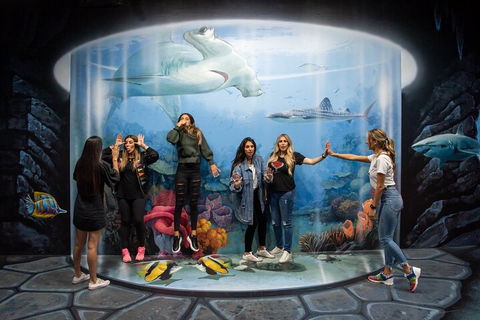 ArtVo Immersive Gallery Experience - Accommodation VIC 2