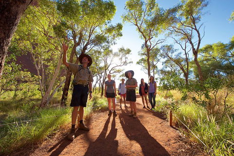 Uluru Small Group Tour Including Sunset - Accommodation VIC 0