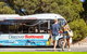 Discover Rottnest With Ferry & Bus Tour From Perth Or Fremantle - thumb 1