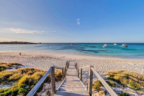 Discover Rottnest With Ferry & Bus Tour From Perth Or Fremantle - Accommodation VIC 4
