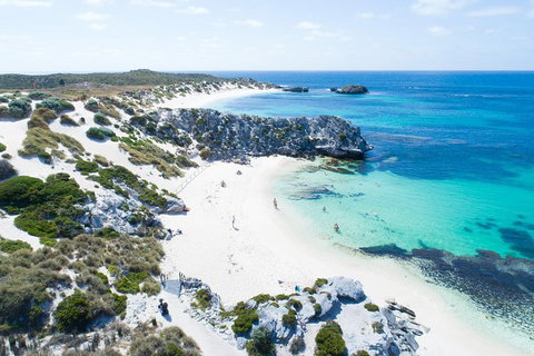 Discover Rottnest With Ferry & Bus Tour From Perth Or Fremantle - Accommodation VIC 5