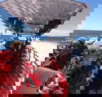 Adventure Rottnest Tour with Ferry  Adventure Cruise from Perth or Fremantle - Accommodation VIC