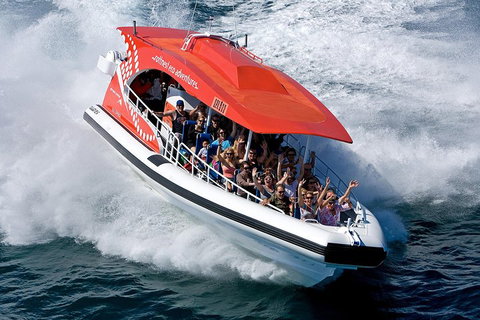 Adventure Rottnest Tour With Ferry & Adventure Cruise From Perth Or Fremantle - Accommodation VIC 2