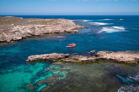 Adventure Rottnest Tour With Ferry & Adventure Cruise From Perth Or Fremantle - Accommodation VIC 3