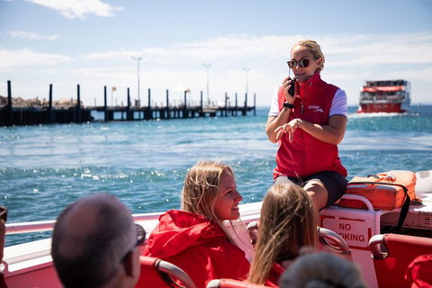 Adventure Rottnest Tour With Ferry & Adventure Cruise From Perth Or Fremantle - Accommodation VIC 4