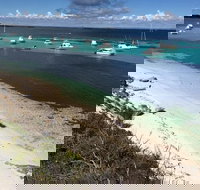 Experience Rottnest with Ferry  Bike Hire from Perth or Fremantle - Accommodation VIC