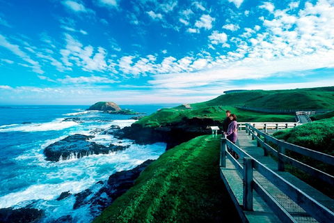 Puffing Billy, Moonlit Sanctuary & Penguins Day Tour - Accommodation VIC 2