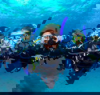 Great Barrier Reef Diving and Snorkeling Cruise from Cairns - Accommodation VIC