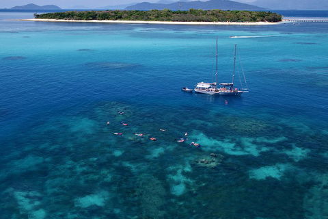 Ocean Free Green Island & Great Barrier Reef Snorkel Cruise, Cairns 25 Guests - Accommodation VIC 2