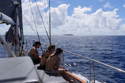 Ocean Free Green Island & Great Barrier Reef Snorkel Cruise, Cairns 25 Guests - Accommodation VIC 4