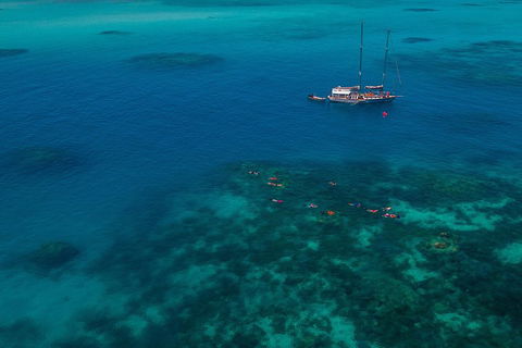 Ocean Free Green Island & Great Barrier Reef Snorkel Cruise, Cairns 25 Guests - Accommodation VIC 5
