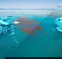 Ocean Freedom Great Barrier Reef Personal Luxury Snorkel  Dive Cruise Cairns - Accommodation VIC