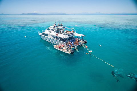 Ocean Freedom Great Barrier Reef Personal Luxury Snorkel & Dive Cruise, Cairns - Accommodation VIC 0