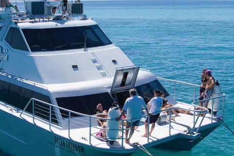 Ocean Freedom Great Barrier Reef Personal Luxury Snorkel & Dive Cruise, Cairns - Accommodation VIC 1