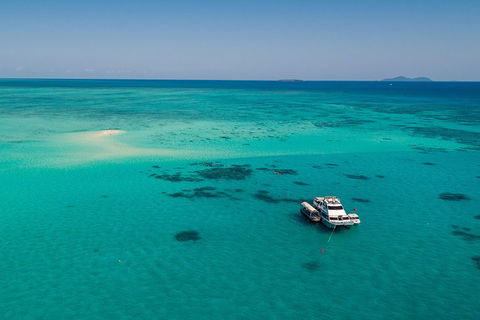 Ocean Freedom Great Barrier Reef Personal Luxury Snorkel & Dive Cruise, Cairns - Accommodation VIC 2