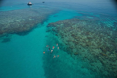 Ocean Freedom Great Barrier Reef Personal Luxury Snorkel & Dive Cruise, Cairns - Accommodation VIC 3