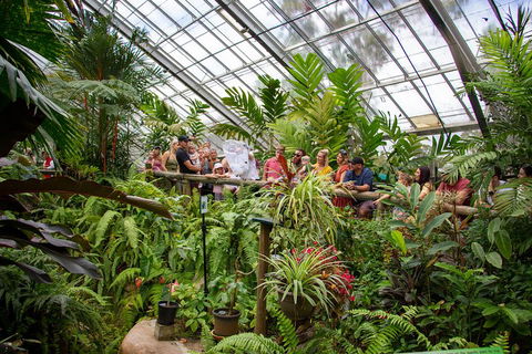 Australian Butterfly Sanctuary - Accommodation VIC 0